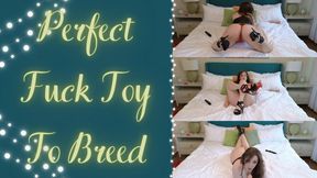 Perfect Fuck Toy To Breed (480WMV)