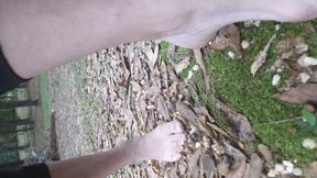 Just Me and My Feet Out in the Yard and Not in the Street Shufflin on Leaves and Crunchin on Sticks Feels Good Play with