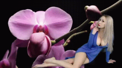 Edge FOREVER Mindfuck Loop!