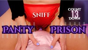 Sniff Panty Prison
