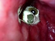 Checking up on the meerkat toy with my endoscope