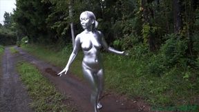 I painted the whole body silver with spray