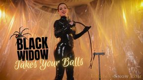 Black Widow Takes Your Balls