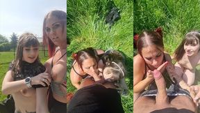 exhibe dans un parc et on a trouver une belle queue