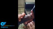 huge black dick fills massive ass