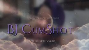Vid101 – BJ CumShot