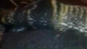 angysexproduction - mi hijastra llego borracha y se quedo a dormir