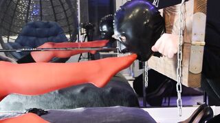 Shackled Sub Worships Gfs Red Nylon Legs