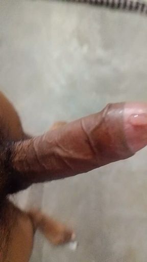 Desi Big Cock