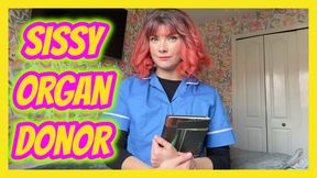 Sissy Organ Donor