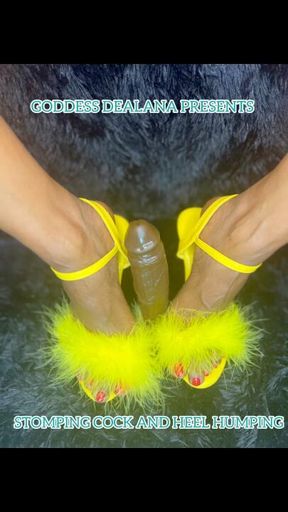 Fuck My Pleasers with Your Tiny Cock SPH CBT