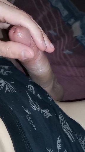 I Jerked off Under the Blanket so That No One Could See My Juicy, Beautiful Cock!