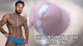 The Punishment of the Micro Tinys - Lalo Cortez