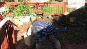 Playing in my garden showing off my tits belly ass, legs and fat pussy flashing you while cleaning up my leaves! red lace thong!
