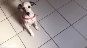 fui na casa da maior cafetina de fortaleza