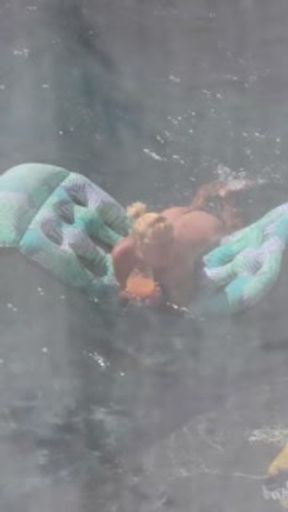 Step mom thought I left for the day