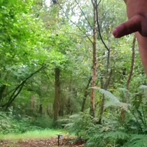 Compilation Outdoor Nudity