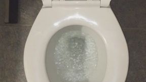 I HAVE PEE IN MY TOILET MY CAMERA PICKS UP GREEN ORBS IM A BULLET SOUL