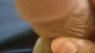 Les serpents entre les jambes des hommes kabyles