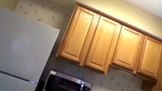 BTS: DirddyBird bred by Brogoth Alien Dildo