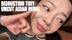 Disgusting Tiny Uncut Asian Penis