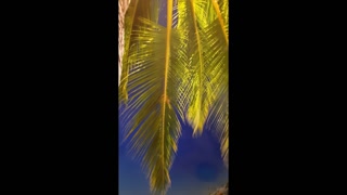 Shez singing in the shower lol huge tits