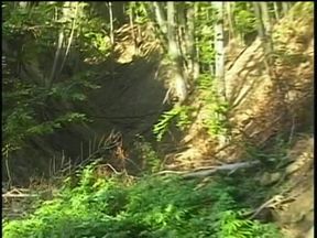Forest orgy with horny jocks