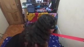 Obedient Wife with Collar - BDSM Walk and Spanking