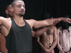 Sean Xaviers Breeding Fest Stallions Leashed and Inspected