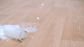 Premature Ejaculator