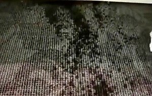 Milf pees in changing room