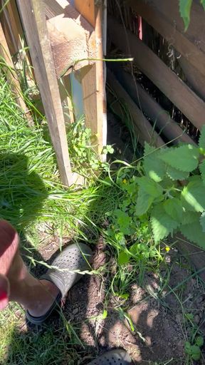 Nettle