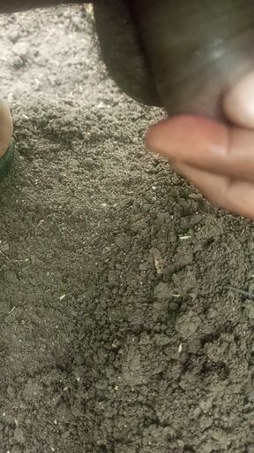 Mera viry mai ne nikala