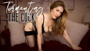 Tormenting The Cuck