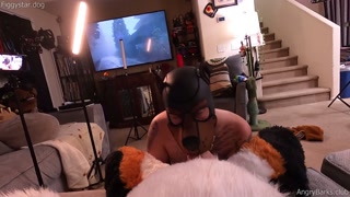 POV You're a fursuiter getting a blowjob from Pup FiggyStarship 💦