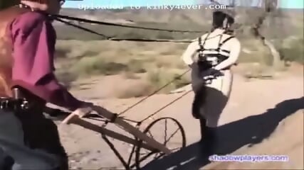 Ponygirl Working