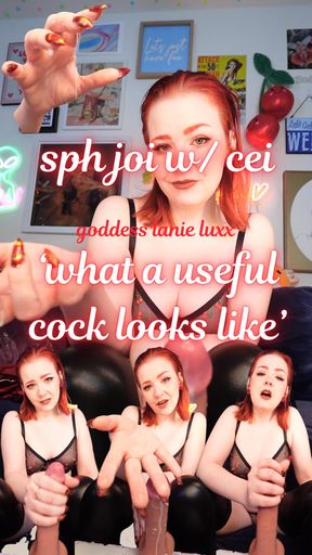 🗨️ What A Useful Cock Looks Like: SPH JOI w/ CEI 💬
