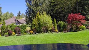 Lawn Service