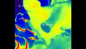 Amateur Twink Jams Himself Hard Dreamin Bout That Thick Dick — GayPornHub