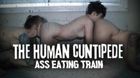 The Human Cuntipede