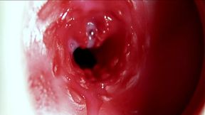 Intense climax&#x1F680; inside the butt&#x1F351;! Loud moans and plenty of release!