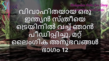 Malayalam Sex Story - I Fucked a Married Indian Woman in Train and other Sex Experiences Part 12