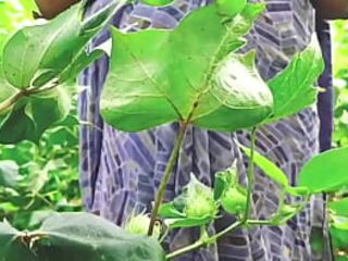 Mallu aunty showed pussy in jungle and made viral xXx MMS video