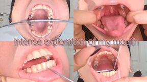 My mouth from end to end (reflection of my mouth )