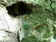 Public cumshot into hole on a ground outdoor