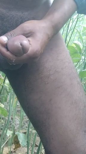 Fucked aunty in mustard field   Clip 1