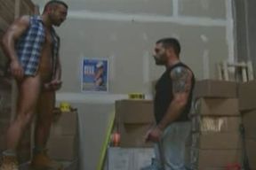 Muscle Bear Motel