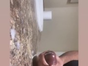 Second Morning Nut