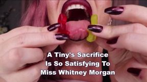 A Tiny's Sacrifice Is So Satisfying To Miss Whitney Morgan - wmv