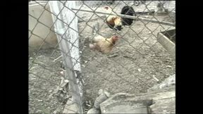 I Get Fucked Everywhere